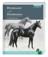 bokomslag Pferdezucht und Pferderassen im Wandel der Zeit