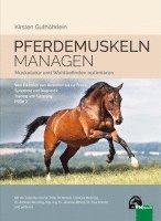 Pferdemuskeln managen 1