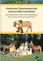 bokomslag Praktischer Theorieunterricht rund um Pferd und Reiten