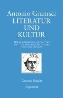 bokomslag Literatur und Kultur