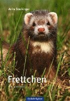 Anita Stockinger - Frettchen, Inbunden. Tillgänglighet: Lägg i varukorg