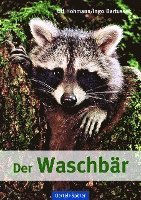 bokomslag Der Waschbär