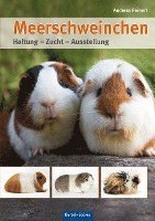 bokomslag Meerschweinchen