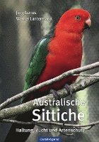 bokomslag Australische Sittiche