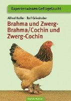 bokomslag Brahma und Zwerg-Brahma, Cochin und Zwerg-Cochin