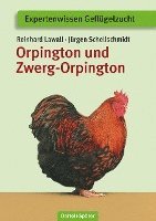 bokomslag Orpington und Zwerg-Orpington