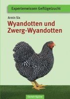 bokomslag Wyandotten und Zwerg-Wyandotten