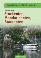 bokomslag Stockenten, Mandarinenten, Brautenten