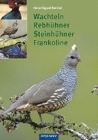 bokomslag Wachteln, Rebhühner, Steinhühner, Frankoline