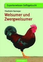 bokomslag Welsumer und Zwerg-Welsumer