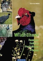 bokomslag Wildhühner