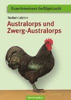 bokomslag Australorps und Zwerg-Australorps