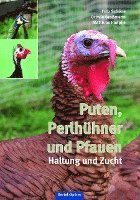 bokomslag Puten, Perlhühner und Pfauen