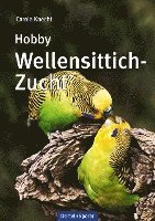 bokomslag Hobby Wellensittich-Zucht
