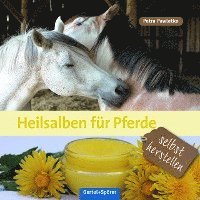 Heilsalben für Pferde selbst herstellen