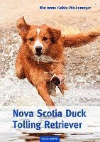 bokomslag Nova Scotia Duck Tolling Retriever