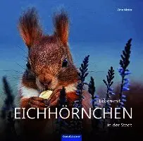 Tine Meier - Leben mit Eichhörnchen in der Stadt, Inbunden. Tillgänglighet: Lägg i varukorg