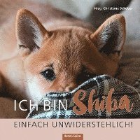 bokomslag Ich bin Shiba. Einfach unwiderstehlich!