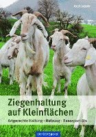 bokomslag Ziegenhaltung auf Kleinflächen