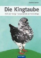 bokomslag Die Kingtaube