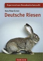 Deutsche Riesen 1