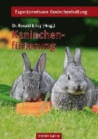 Kaninchenfütterung 1
