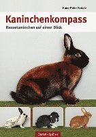 bokomslag Kaninchen-Kompass