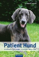 Patient Hund