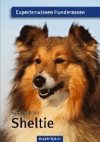 bokomslag Sheltie