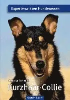 Claudia Schmidt - Kurzhaar-Collie, Häftad