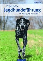 bokomslag Zeitgemäße Jagdhundeführung