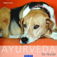 bokomslag Ayurveda für Hunde