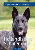 bokomslag Holländischer Schäferhund