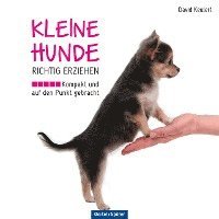 bokomslag Kleine Hunde richtig erziehen