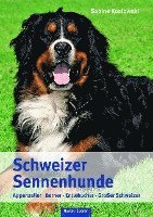 bokomslag Schweizer Sennenhunde