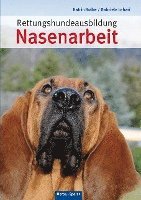 Rettungshundeausbildung Nasenarbeit 1
