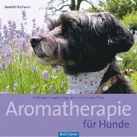 bokomslag Aromatherapie für Hunde