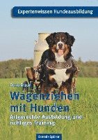 bokomslag Wagenziehen mit Hunden