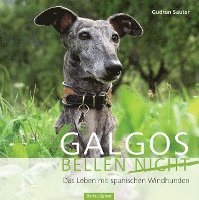 bokomslag Galgos bellen nicht