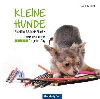 bokomslag Kleine Hunde richtig beschäftigen