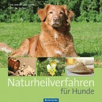 Tina von der Brüggen, Camilla Fischer - Naturheilverfahren für Hunde, Inbunden