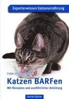 bokomslag Katzen BARFen