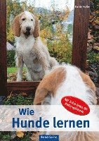 bokomslag Wie Hunde lernen