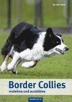 bokomslag Border Collies erziehen und ausbilden