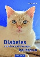 bokomslag Diabetes und Nierenerkrankungen bei Katzen