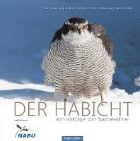 bokomslag Der Habicht