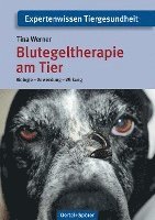 bokomslag Blutegeltherapie am Tier