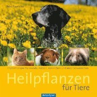 bokomslag Heilpflanzen für Tiere