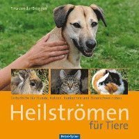 bokomslag Heilströmen für Tiere