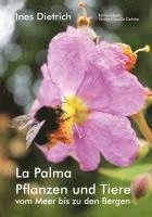 bokomslag La Palma. Pflanzen und Tiere vom Meer bis zu den Bergen